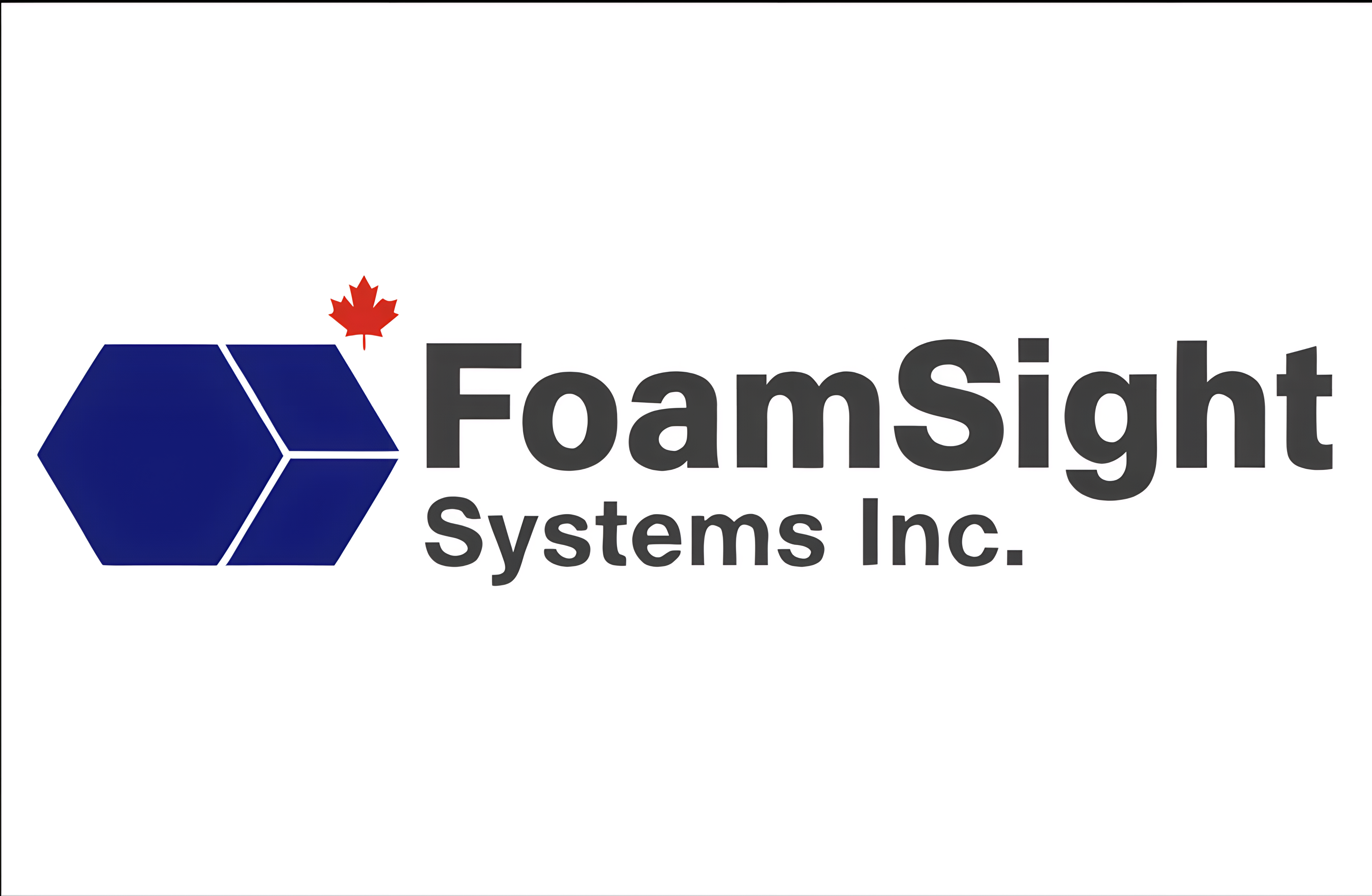 FoamSight Systems Inc.